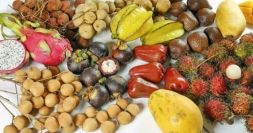 Plot 4: Jamun